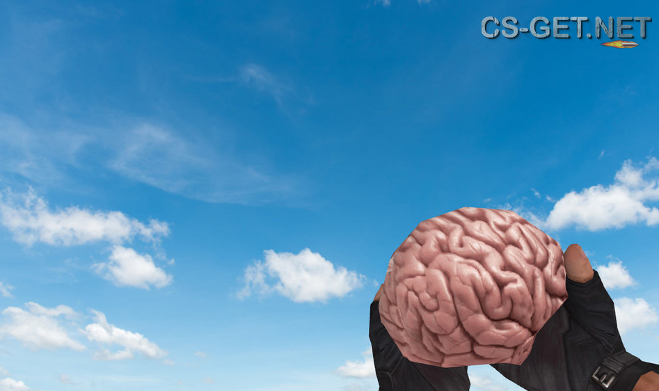 Модель «Brain Grenade» для CS 1.6