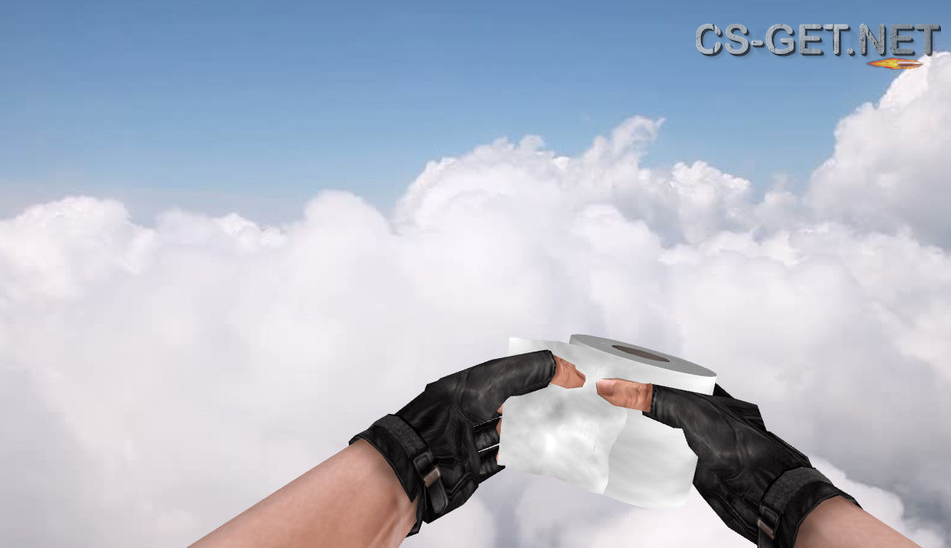 Модель «Бомба | Туалетная бумага» для CS 1.6